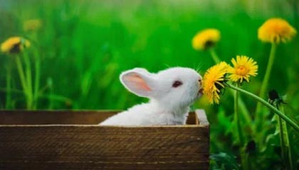 开云入口登录-皇马女足前锋阿西妮娅：单身生活与深夜的泪水|阿西妮娅-德尔卡斯蒂略|德尔卡斯蒂略|皇家马德里|名人|心扉_新浪体育_新浪新闻